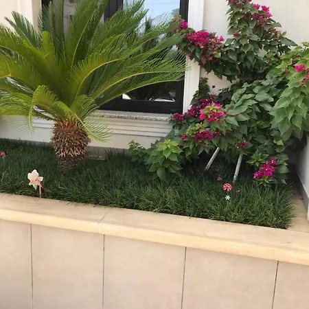 Home Hotel Hotel Tirana